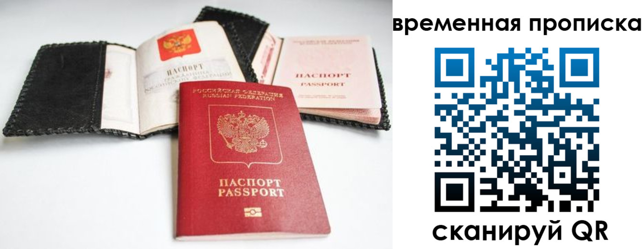 прописка для школы в Курганинске